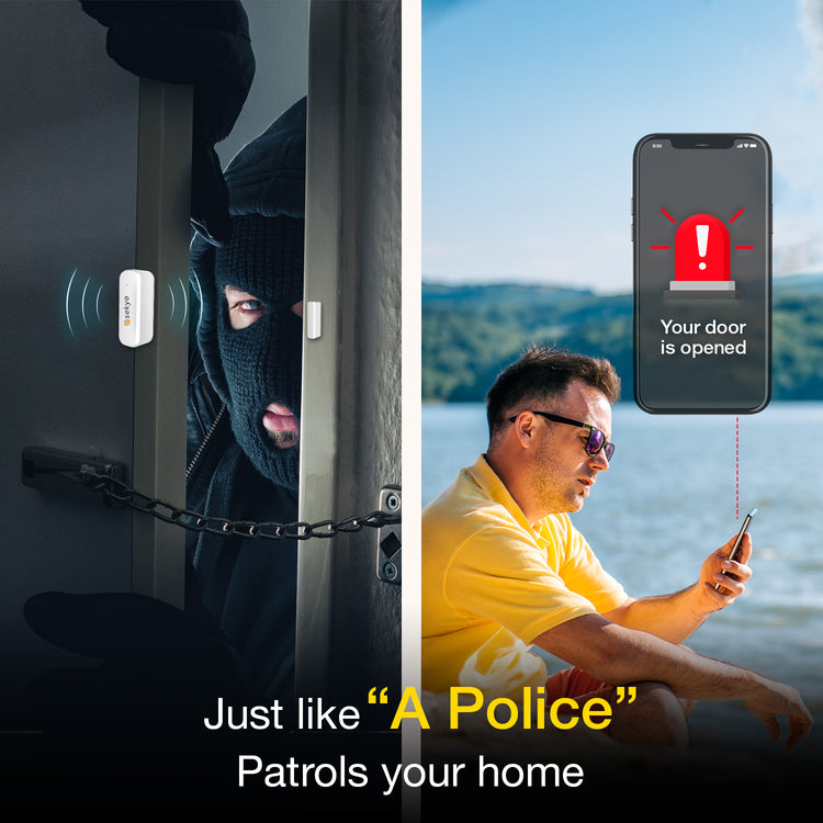 Door/Window Sensor