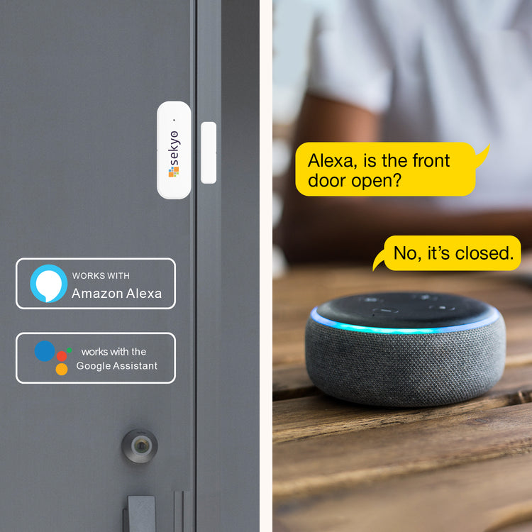 Door/Window Sensor