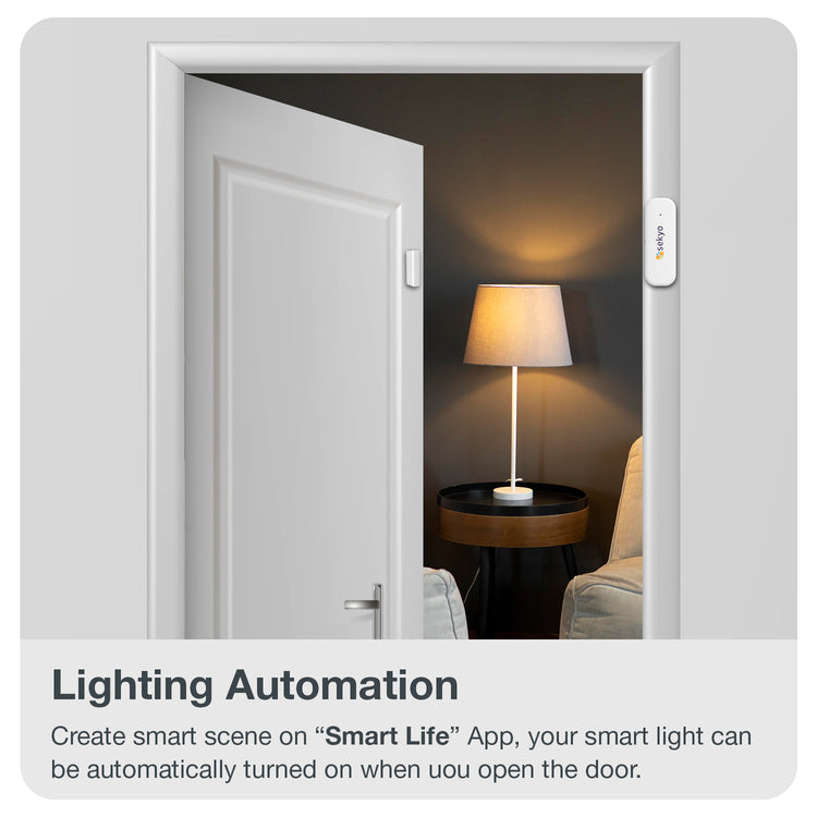 Door/Window Sensor