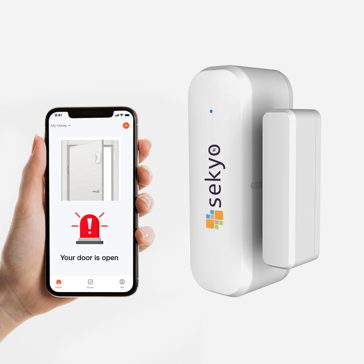 Door/Window Sensor